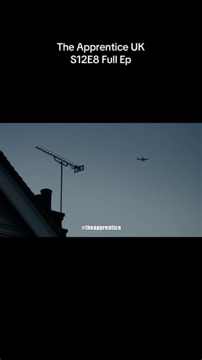 The Apprentice UK S12E8 Episode Summary and Insights