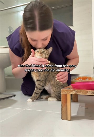 Cleo the Kitten's Successful Spay Surgery