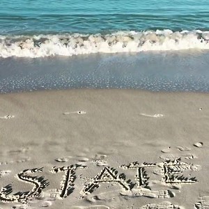 19 reactions | Indiana State University Alumni Association on Reels | Facebook