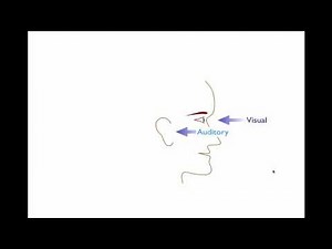 Meta Model in Coaching