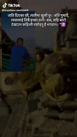 #tanahunmuser🌻🌹❤tiktok #trustboy #palcechangeatdamauli#trustboy