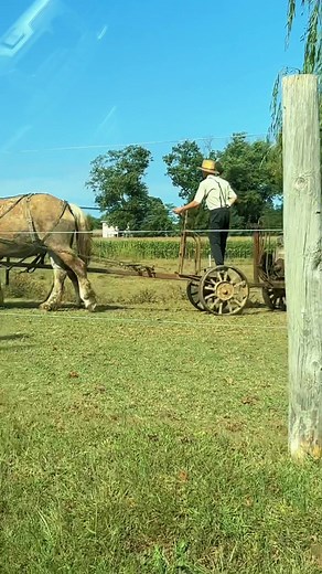Amish Farming: Horse-Drawn Equipment and Gas Motors