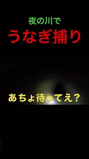 夜の川でうなぎ捕りに挑戦！ #ウナギ #釣り #fishing #うなぎとり#うなぎ釣り #うなぎ#ウナギ捕り