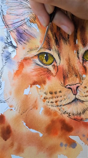 What a treat to paint Gus the Siberian! A gorgeous ginger cat #orangecat #catpainting #watercolor