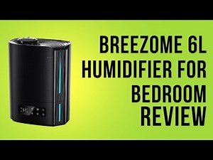 BREEZOME 6L Humidifier for Bedroom Review (Pros & Cons Explained)