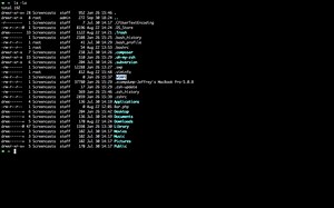 Vim: 2. iTerm, Vimrc and Syntax Highlighting #codeeditor #coders #coding #program #programming #computerlanguages #computersciences | Programming Tutorial Videos | Facebook
