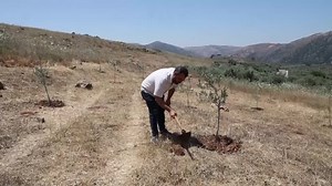Lebanese farmers dig for answers on Israel's white phosphorus use