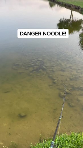 JD fishing adventures on TikTok