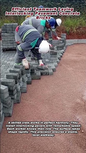 Efficient Teamwork Laying Interlocking Pavement Concrete Bricks