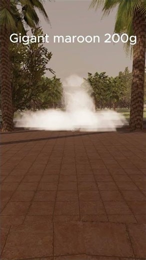 Gigant maroon! 200 gram