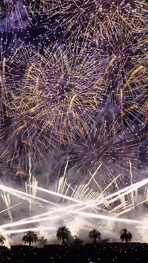 ついに今年も開催…鹿児島の春をぶち上げる芸術花火がまじですごい😳 これもう知ってる人も多いと思うけど普通の花火大会とはレベルが違うぜ…全国トップクラスの花火師が集結し音楽と完全シンクロして1発1発が作品みたいに打ち上がる！！🎆 夜の花火だけじゃなくて、お昼のイベントやフードエリアも大充実してるからフェス感覚で楽しめるのが最高🔥 基本的に当日券はなくて事前にWebで前売りチケット購入制だから注意してな！続々とチケットが売り切れてきてるから、早めにチェックしといて！👍🏻 📍鹿児島県マリンポートかごしま 桜島と芸術花火2026 Open 4月25日15:00〜20:30 チケット・詳細は公式アカウントからチェック！ ↓ @geijutsuhanabi_kagoshima #PR #九州旅行 #鹿児島旅行 #桜島と芸術花火2026 #鹿児島イベント