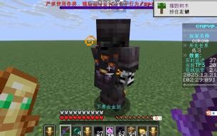 刚玩cpvp1个月萌新的hic训练