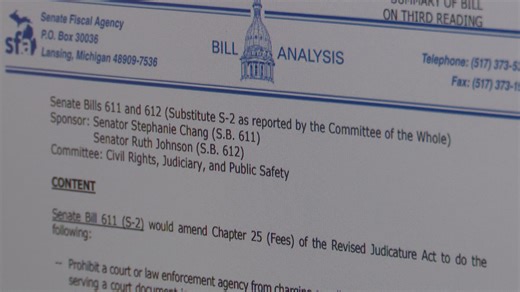 Michigan Senate passes bipartisan bills to reform personal protection order process