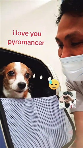 #shortsvideo #animalcare #animallovers i love you pyromancer 😘😘😘