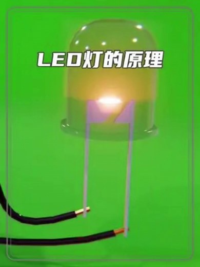 TikTok의 hatingyougaxina