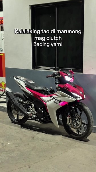 Understanding Bading Behavior in Dogs