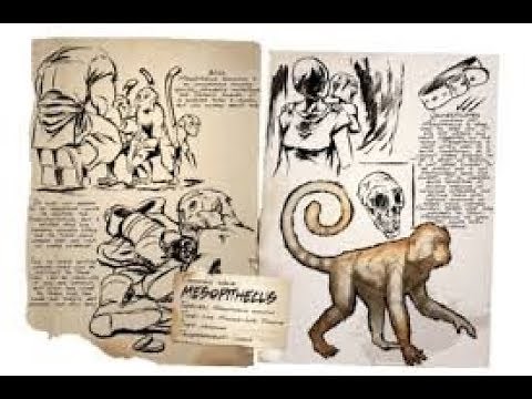 HOW TO TAME A MESOPITHECUS 🐵/ ARK SURVIVAL EVOLVED