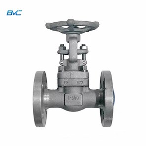 [Hot Item] 1 Inch 300lb RF Rtj Flange Forged Steel A105 Material Gate Valve