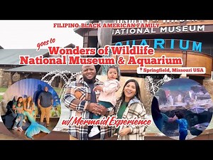 FULL TOUR of Wonders of Wildlife National Museum & Aquarium w/ MERMAID Show | Springfield, Missouri