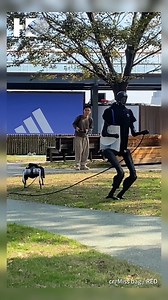 19K views · 155 reactions | Crazy! A robot walks a robot dog in Shanghai, China.勞#Robot #Technology #AI | HKeye | Facebook
