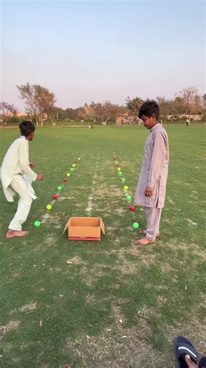 Balls Collection Challenge: Who's the Winner?