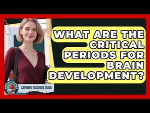 What Are The Critical Periods For Brain Development? - Aspiring Teacher Guide