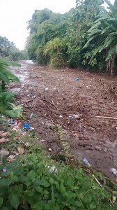 Ipi Ore Rompa Dambee Ndake Saramba Mai Palana.. #sorotansemuaorang.. | Ory Fhan