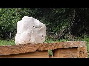 Squirrel Hunting Ammo : CCI Quiet Segmented Hollowpoint