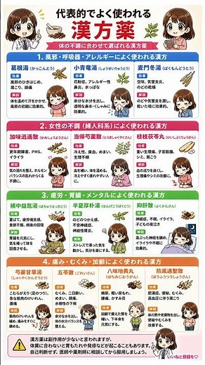 身体のインフラを自然の力でデバッグせよ！不調別「漢方最適化」ガイド。葛根湯・五苓散・防風通聖散をハックして、最高のコンディションを維持する戦略