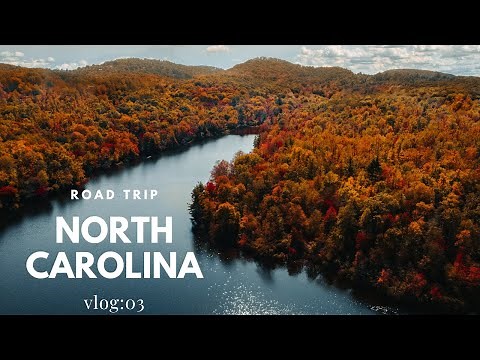 ROAD TRIP: Driving the Blue Ridge Parkway to Asheville, NC