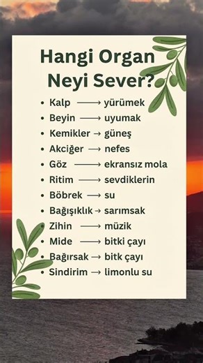 Hangi Organ Neyi Sever? 🫀🧠 Sağlıklı Yaşam İpuçları #Shorts