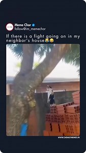 Netflix is okay but this is my fav 😹😂 | Meme Sarcasm Comedy