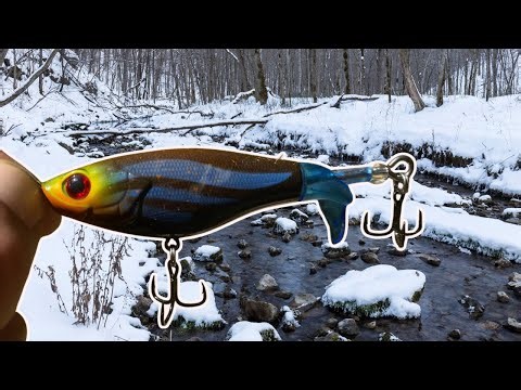 Indiana Creek Fishing Top Water Collection