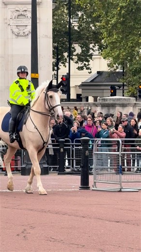 1.8M views · 50K reactions | Beautiful police horse at buckingham palace #horse #buckinghampalace #police | Marks London reels | Facebook