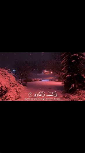 سورة الطارق🤍🌿.#المنشاوي #قرآن #fpyシviral #foyoupage #قران_كريم #اكسبلور #الهم_صل_على_محمد_وأل_محمد
