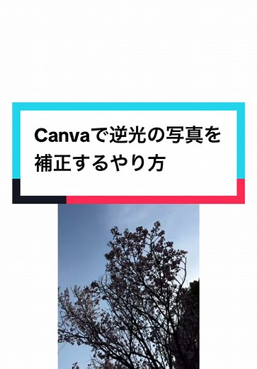 Canvaで逆光の写真を補正する方法