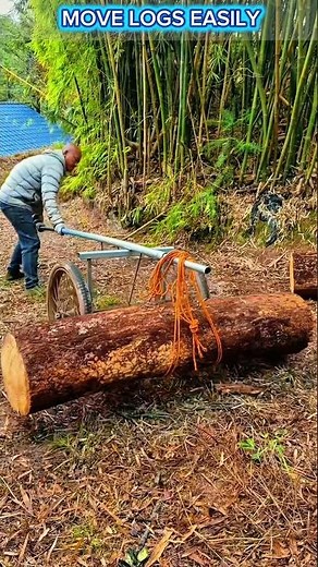 Genius DIY Log Moving Tool – Move Heavy Logs Effortlessly Like Magic!