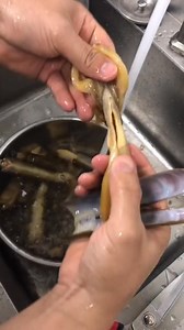 #美食趣胃計劃 #全民打卡季 #一口吃個秋 #粗加工各種海鮮 下一個視頻分享一道蒜蓉粉絲蒸蟶子皇， | 唐小喵美食記