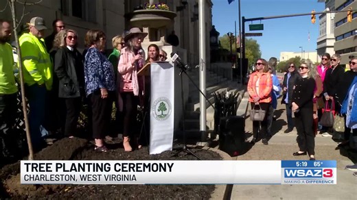Tree planting ceremony