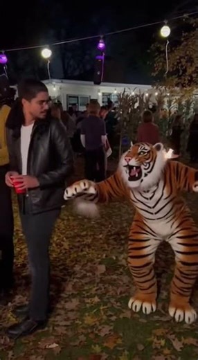 Tiger Costume Fail at Halloween Party