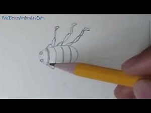 How to Draw a Scorpion In 5 EASY Steps - GREAT for Kids & Beginners