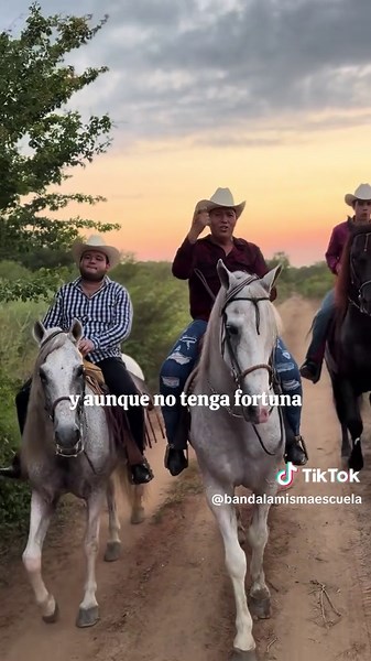 Serenata Huasteca - Banda La Misma Escuela
