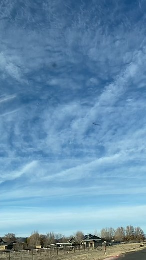 Jeremy Shrader on TikTok