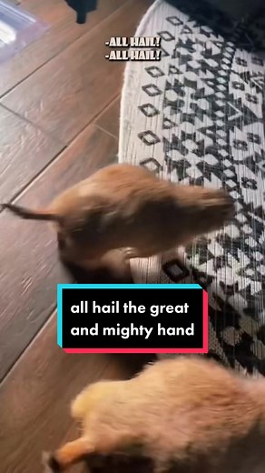 Prairie Dogs Delivered by the Great and Mighty Hand