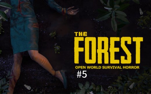 The Forest【森林】游戏全流程实况#5
