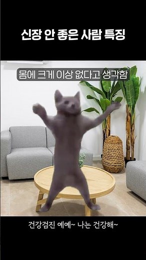 [전지적건강참견시점] 신장 의심 질환
