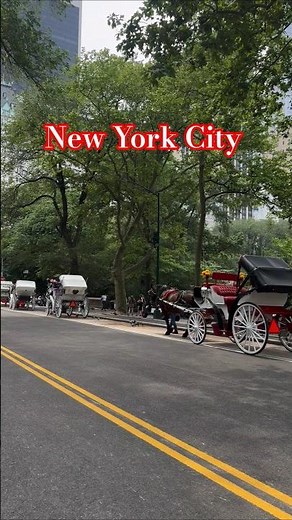 Magical New York City Tour – The Most Breathtaking Walk You've Ever Seen