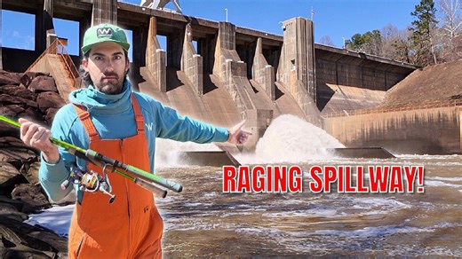 Powerful spring fish thrive within raging and intense spillway currents