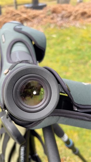 What is inside the scope??