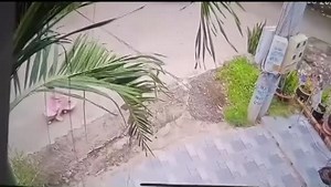 Child Warning! Child Playing On The Street Was Hit By A Car